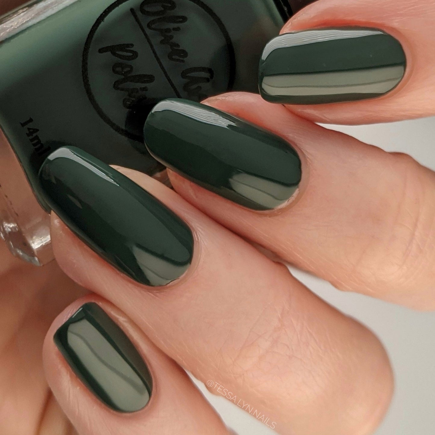 Dark Academia Bundle