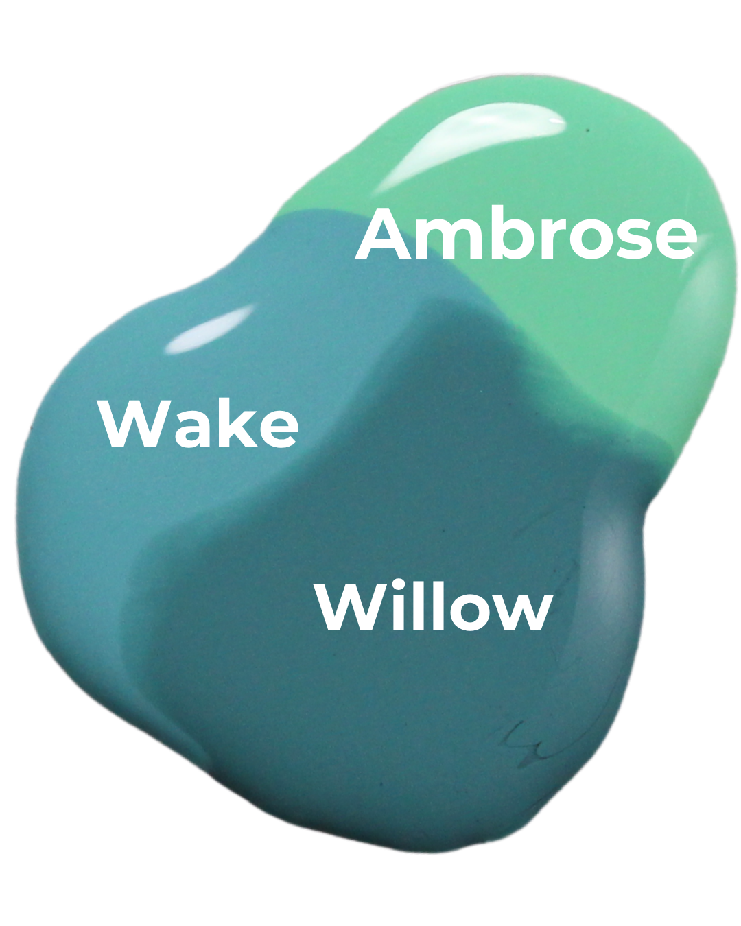Wake | Medium Turquoise Cream
