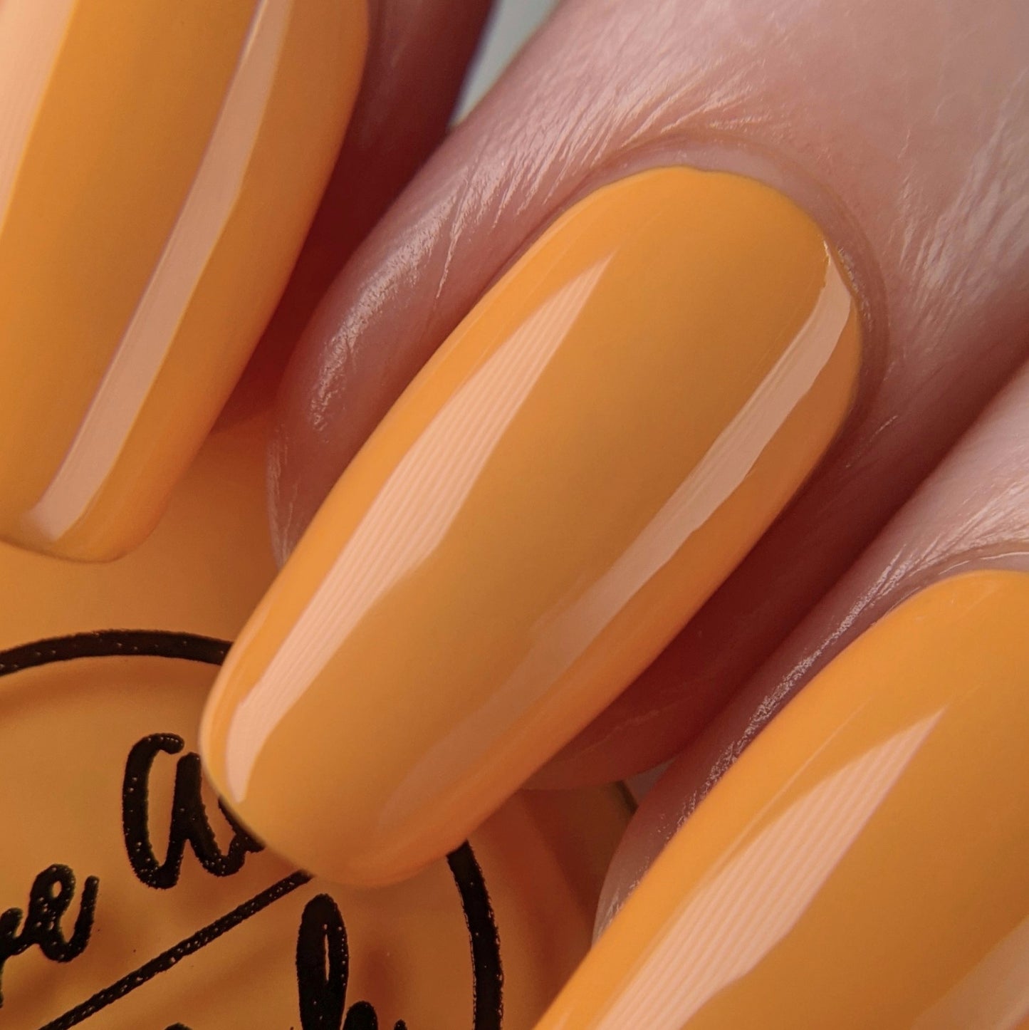 Tang | Marigold Cream