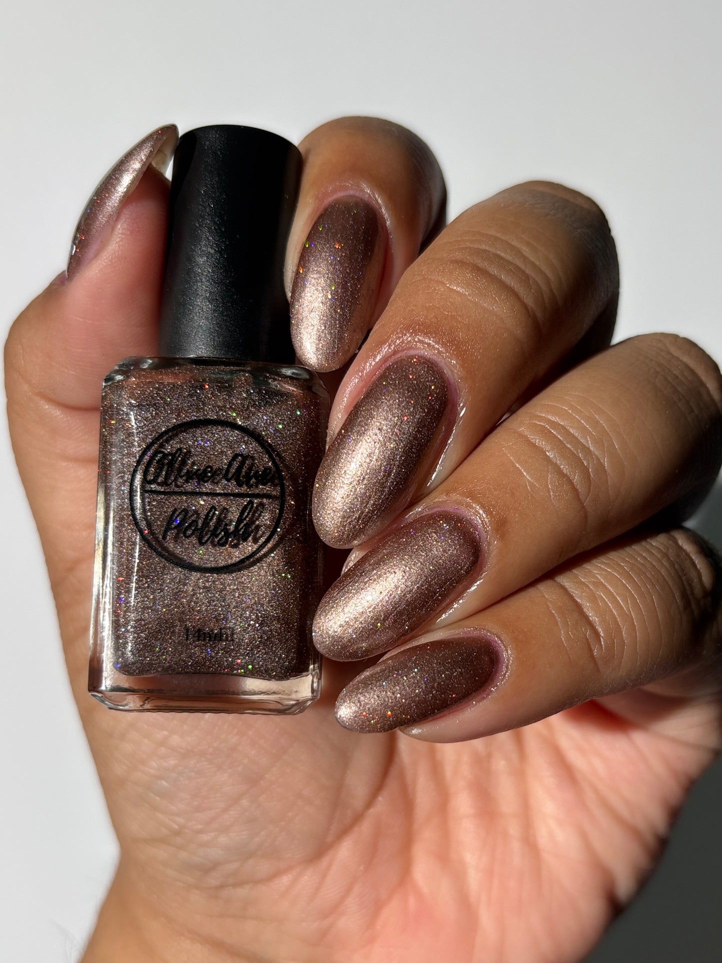 Celebrate Full Collection Bundle