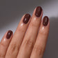 Burrow | Warm Brown Holographic