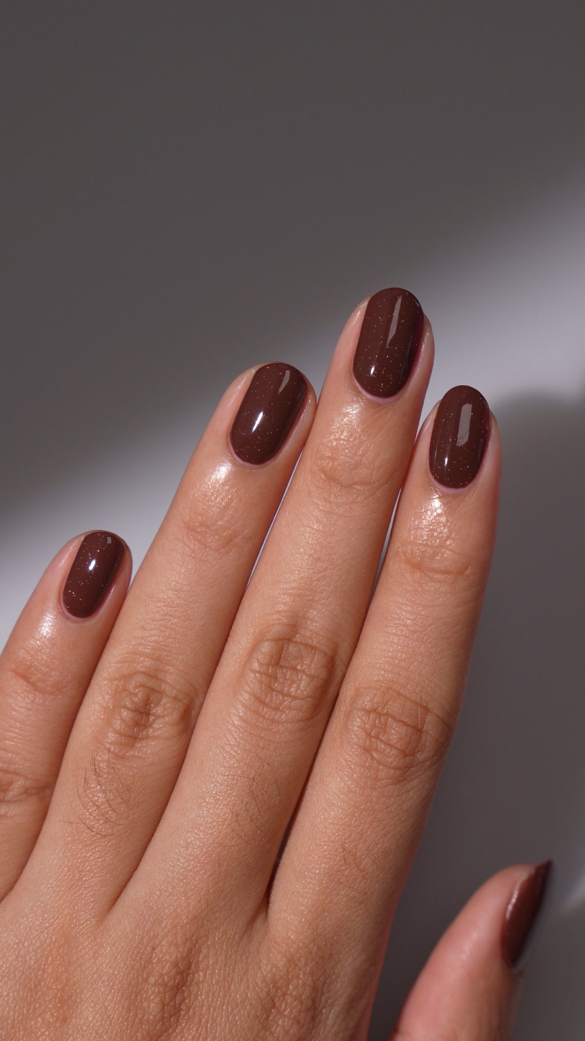 Burrow | Warm Brown Holographic