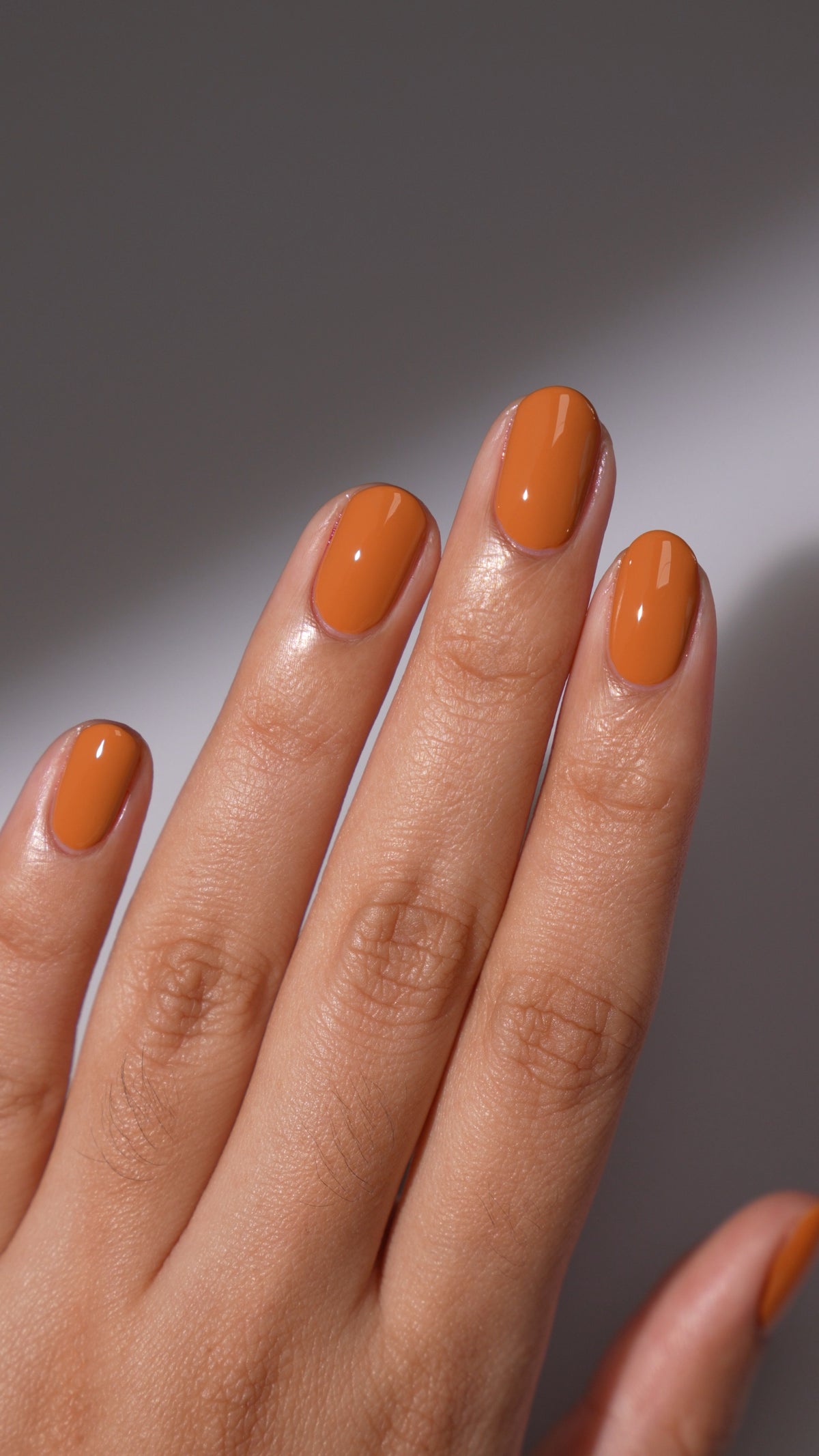 Hayride | Light Caramel Cream