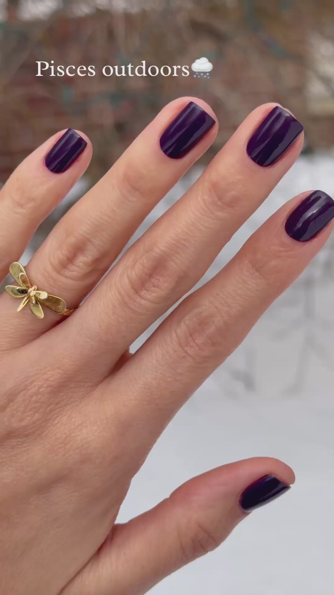 Eggplant purple video