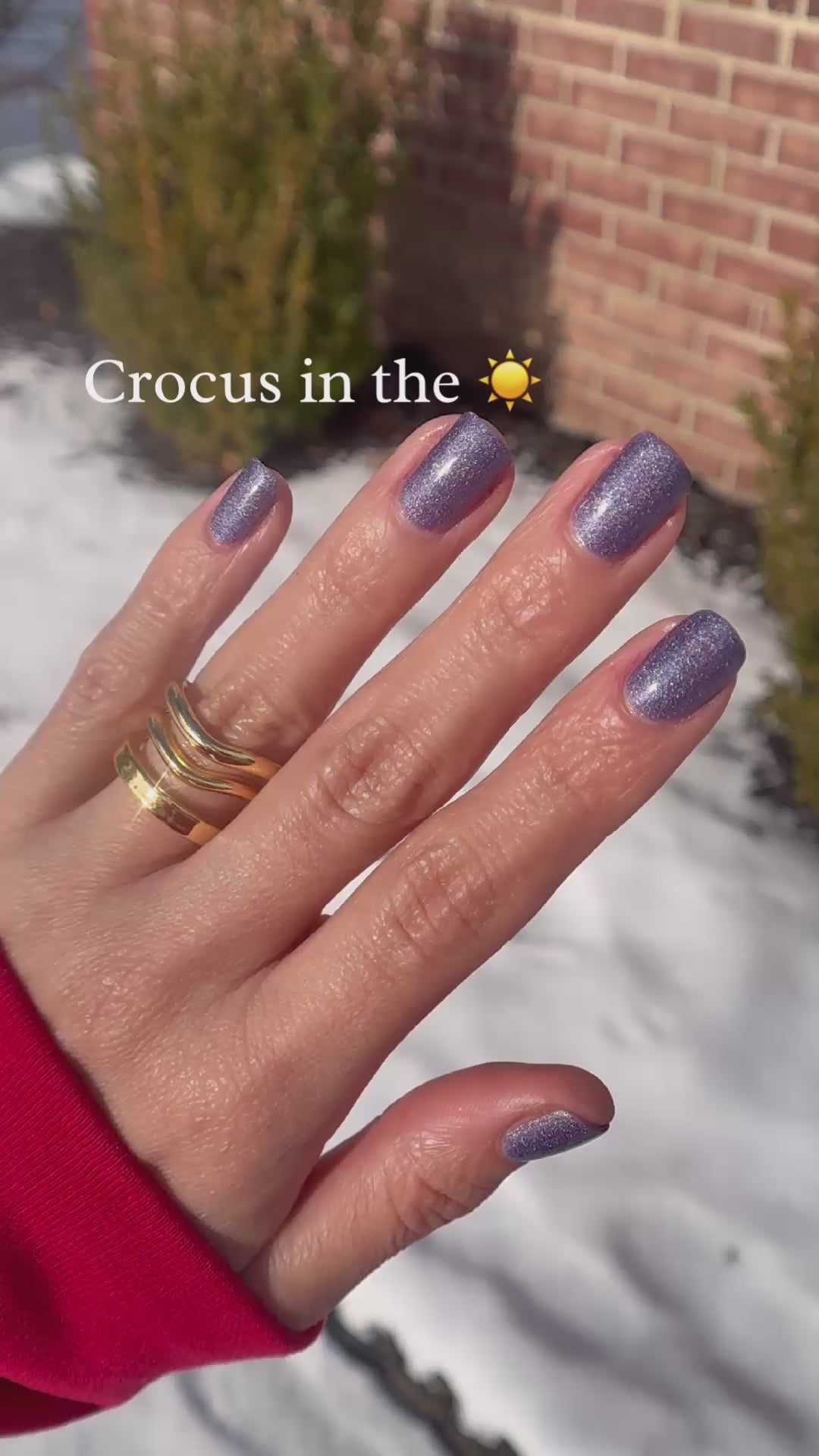 Crocus | Purple holographic nail polish | vegan, 10-free, +