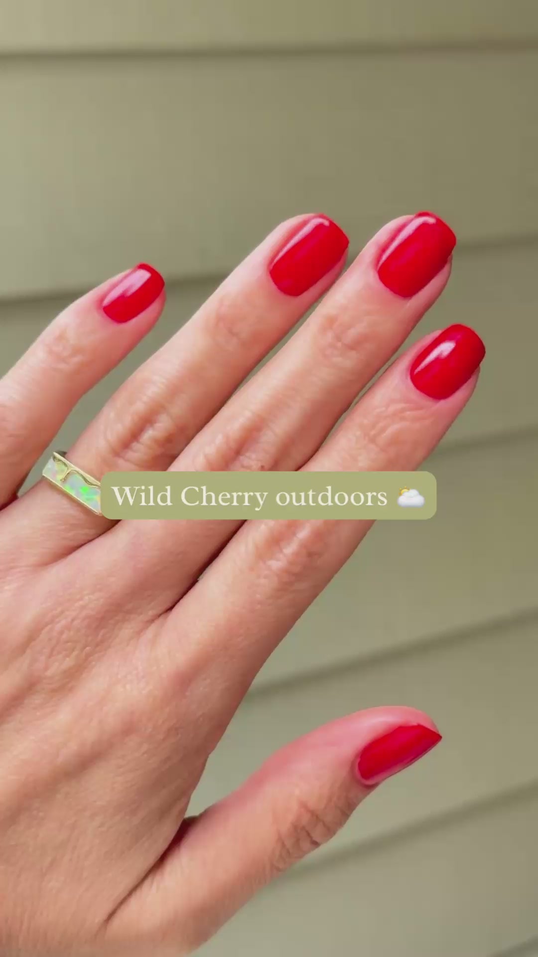 Treats Full Drop Bundle – Olive Ave Polish