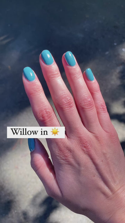 Willow |  muted turquoise cream